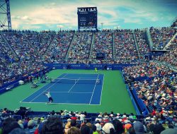 Tennis Match: Go Federer