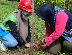 PLN UIW MMU Konsisten Jaga Hutan Lindung di Halmahera Tengah