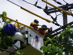 Wujudkan Pelayanan Prima pada Idul Fitri 1445 H, Tim PDKB PLN UIW MMU Lakukan Pemeliharaan Infrastruktur Kelistrikan