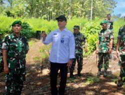 4 Bulan Lakukan Penanaman, PLN dan PPAD Tinjau Kembali Progress Program Rehabilitasi Lahan Kritis dan Lahan Tidur di Masohi