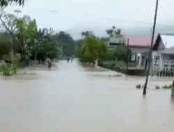 Puluhan Rumah Warga di Desa Mangoli Tengah Sula Terendam Banjir