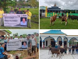 Sambut Idul Adha 2024,  Haji Robert Kembali Salurkan 57 Hewan Kurban Untuk Warga Lingkar Tambang