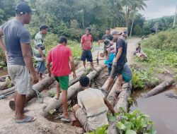 Akses Jalan Terputus, Warga Desa Ona di Sula Gotong Royong Bangun Jembatan Kayu