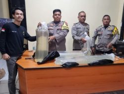 Polsek Ternate Selatan Kembali Amankan Puluhan Kantong Miras Jenis Cap Tikus