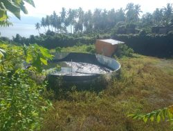 Proyek Tambak Udang Vaname Milik DKP Malut di Halsel Mangkrak