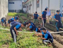 WBP Lapas Ternate Kemenkumham Malut Dilatih Pembuatan Tanaman Hidroponik dan Budidaya Bibit Sayuran