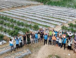 Melalui Program Electrifying Agriculture, PLN ULP Bula Berhasil Listriki Dusun Waifafu di  Maluku