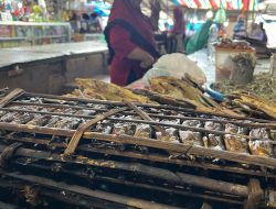 Ikan Julung Asap Produk Unggulan Masyarakat Morotai, Kemenkumham Malut Dorong Jadi One Village One Brand