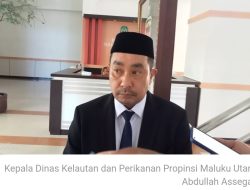 Proyek Tambak Udang Vaname di Halsel Mangrak, Kadis DKP Malut Ngaku Dihubungi Pihak Polda