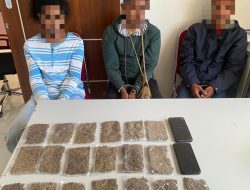 Personel Dit Resnarkoba Polda Malut Amankan 19 Sachet Narkoba Jenis Ganja dari Jayapura