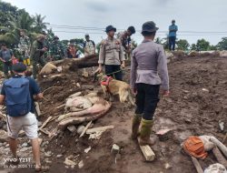 Polda Malut Terjunkan Anjing Pelacak Cari Titik Korban  Banjir Bandang di Rua Ternate