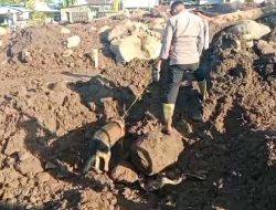 Tim SAR Kembali Temukan Dua Jenazah Korban Banjir Bandang di Rua Ternate, Satu Korban Masih Dinyatakan Hilang
