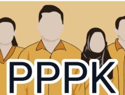 Seleksi PPPK 2024 Tak Gunakan Passing Grade, Kelulusan Ditentukan dengan Cara Ini