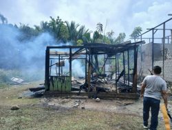 Kebakaran di Desa Umaloya Kepulauan Sula, Dua Kakak Beradik Tewas Terjebak Dalam Rumah