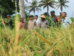 Kasiter Kasrem 152/Baabullah Hadiri Panen Raya dan Tanam Perdana di Kao Barat