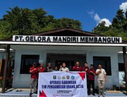 Operasi Gabungan, Timpora Kemenkumham Malut Himpun Data WNA di Perusahaan Sawit Halsel