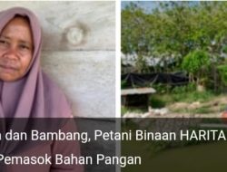 Cerita Nia dan Bambang, Petani Binaan Harita Nickel yang Sukses Jadi Pemasok Bahan Pangan