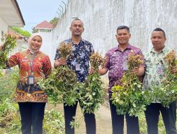 Dukung Ketahanan Pangan, WBP dan Petugas Rutan Soasiu Kemenkumham Malut Panen Tomat dan Kacang