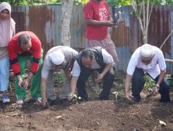 Pjs Bupati Halbar Dheni Tjan Hadiri Penanaman Holtikultura di RT 05 Desa Hatebicara