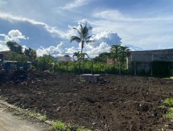 Optimalkan Ketahanan Pangan melalui Pemberdayaan Napi, Lapas Tobelo Garap Lahan Pertanian