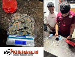 Jemput Ganja, Pemuda di Ternate Ini Diringkus Polisi