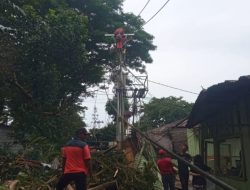 Gerak Cepat PLN UIW MMU Atasi Dampak Pohon Tumbang Akibat Cuaca Ekstrem di OSM-Ambon