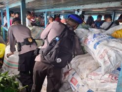 Ratusan Kantong Miras Diamankan Tim Ops Pekat Kiera II Polda Malut