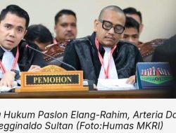 Kuasa Hukum Elang- Rahim Tuding Pilkada Halteng Didominasi Kepentingan Oligarki Tambang