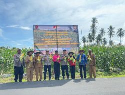 Dukung Ketahanan Pangan, Sat Brimob Polda Malut Distribusi 1,7 Ton Jagung Hasil Panen Raya ke Masyarakat Halut