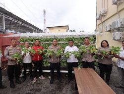 Dukung Ketahanan Pangan, Kapolres Ternate Panen Perdana Tanaman Hidroponik