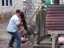 Babi Hutan Masuk Pemukiman Serang Ibu dan Anak di Kelurahan Rua Ternate