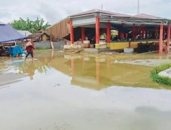 Pasar Ikan Tak Terurus, PC IMM Sula Pertanyakan Kinerja Perindagkop