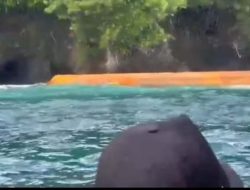 Kansar Ternate Kembali Lakukan Operasi SAR Korban Kapal LCT SJP 168 A yang Tenggelam di Perairan Batang Dua Ternate