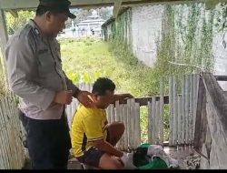 Geger Mayat Bayi Perempuan Terbungkus Kantong Plastik Ditemukan di Belakang Toko Bangunan di Desa Acango Halbar