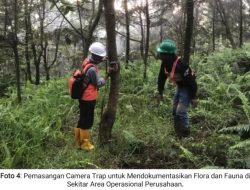 Menjaga Warisan Alam Obi: Harita Nickel Lestarikan Flora dan Fauna Endemik lewat Pemantauan dan Edukasi Karyawan