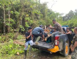 Aktivitas Tambang Emas Ilegal di Haltim Ditutup Polisi