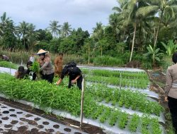 Hadiri Panen, Kapolres Ternate dan Kadistan Kota Ternate Berikan Bantuan Kepada Kelompok Tani