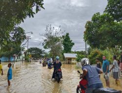 Puluhan Rumah Warga di Desa Umaloya  Kepulauan Sula Terendam Banjir