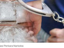 Jemput Paket Sabu di Jasa Pengiriman, Seorang IRT di Halmahera Utara Diringkus Polisi