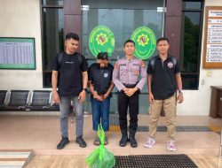 Terbukti Edarkan Miras, IRT asal Galala Oba Utara Divonis Denda Rp 30 Juta