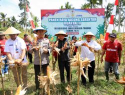 Kapolda Malut Hadiri Panen Raya Jagung dan Peletakan Batu Pertama Gudang Penyimpanan