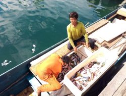 Tangkap Ikan Pakai Peledak, Enam Warga Soasangaji Halsel Ditangkap Polisi