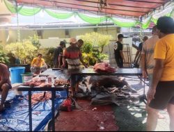 Masjid Al Fajri Toboko-Tanah Tinggi, Ternate Sembelih 17 Ekor Hewan Qurban