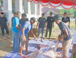 Momen Idul Adha, Kemenkum Malut Gelar Penyembelihan Hewan Kurban