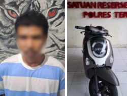 Curi Motor di Ternate, Pemuda Desa Togawa Besi Halmahera Utara  ini Ditangkap Polisi