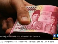 Tenaga Admin di DPD PAN Kota Ternate Keluhkan Honor 8 Bulan yang Belum Dibayar