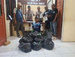 Polsek Pulau Ternate Amankan Ratusan Kantong Miras di Kawasan Swering Dufa- dufa