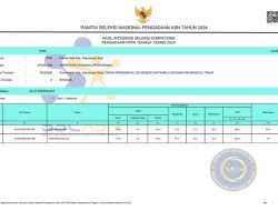 Waduh! Ada Honorer Siluman di Sula Lulus PPPK 2024