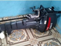 Hasil Interogasi Polres Halsel dan Polda Malut Terkait Dugaan Kasus Pinjam Pakai Babuk Pencurian Tidak Terbukti