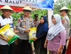 Kapolda Maluku Utara Pimpin Panen Raya Jagung Serentak Kaurtal III dan Bansos